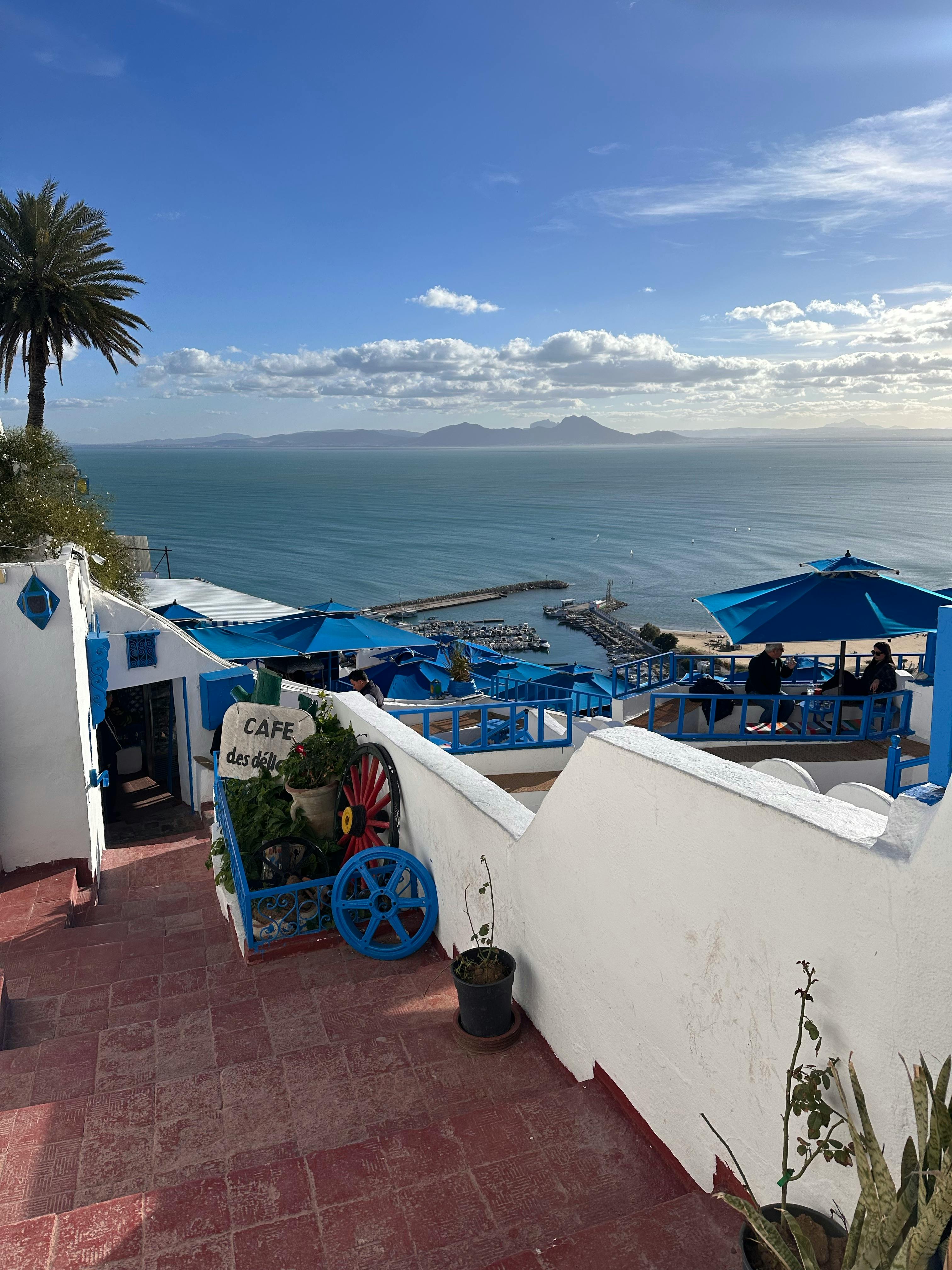 Vue de la Tunisie avec drapeau tunisien